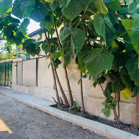 море Séjour chez l'habitant