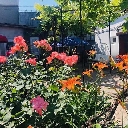 море Проживання в сім'ї *