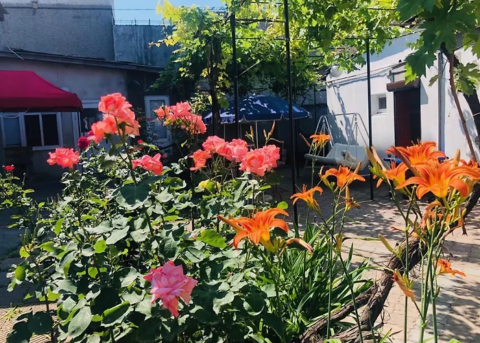 море Séjour chez l'habitant *